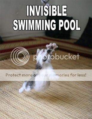invisible-swimming-pool.jpg