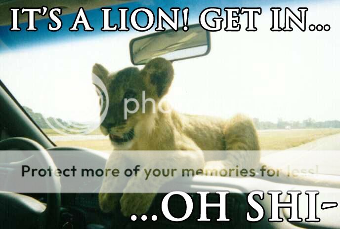 Lionohshit.jpg