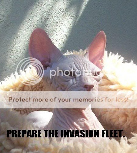 invasionfleet.jpg