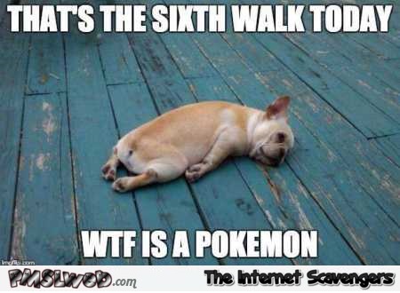 3-walking-the-dog-to-play-pokemon-Go-funny-meme.jpg