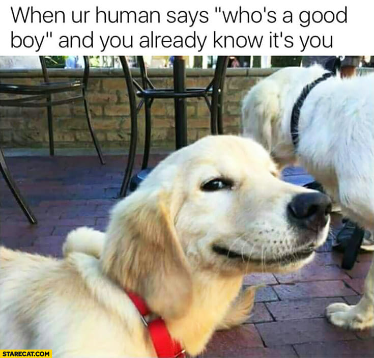 356625367_6560965943953719_1072024585373248660_n.jpg