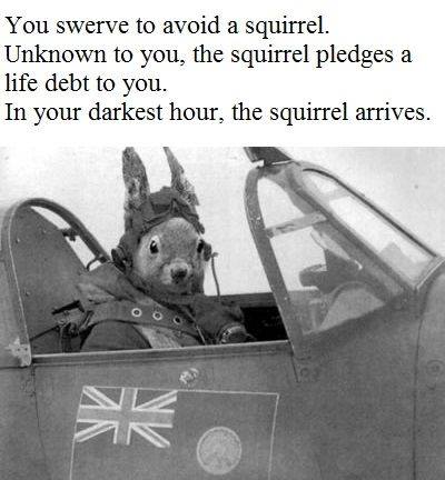 363013591_664542545697442_8380360405150408972_n.jpg