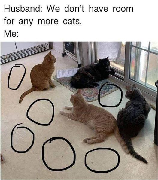 366278565_869029691253070_919690425506086118_n.jpg