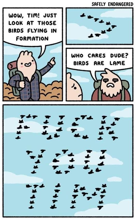 369676986_694471346052163_1129705152371261685_n.jpg