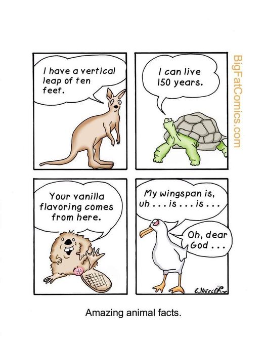 369702623_786864456779065_4661605641063034757_n.jpg