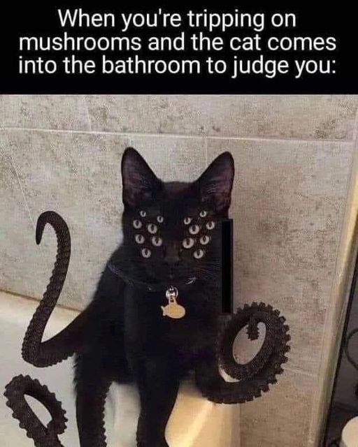 374540747_873262131038382_1815142652439768735_n.jpg