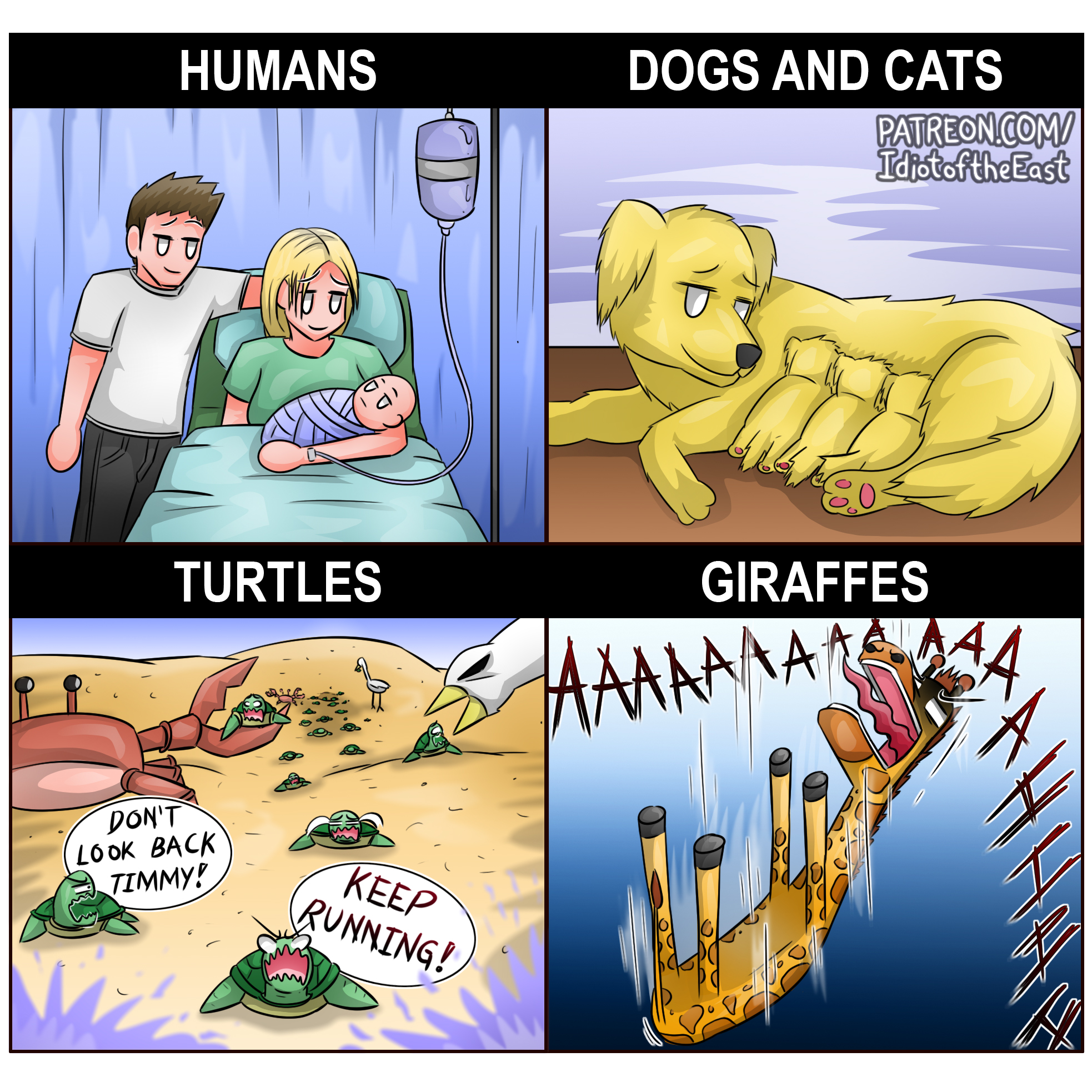 375465029_679138597569822_8425987579318086913_n.jpg