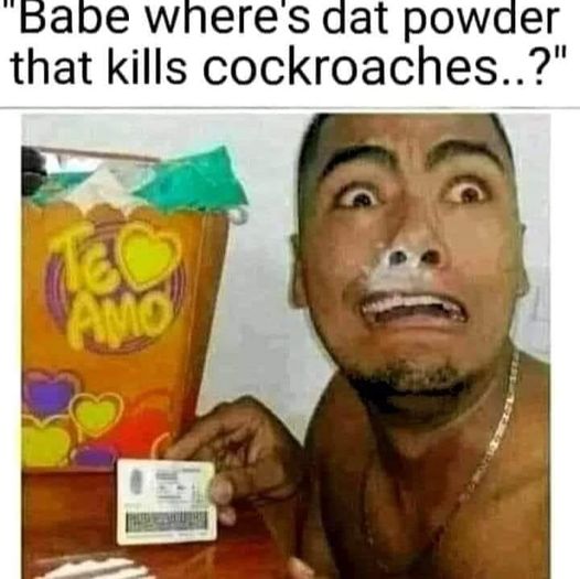378382947_10231998783498687_3401589751950871917_n.jpg