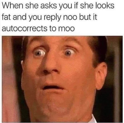 384756403_651896853717028_2437128218172359053_n.jpg