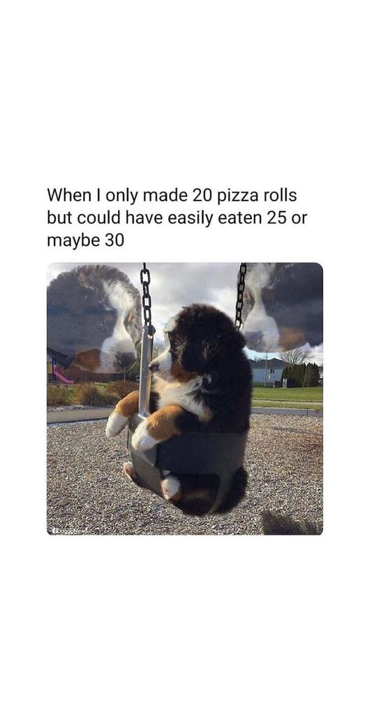 386451842_371267721895112_756633220030314446_n.jpg