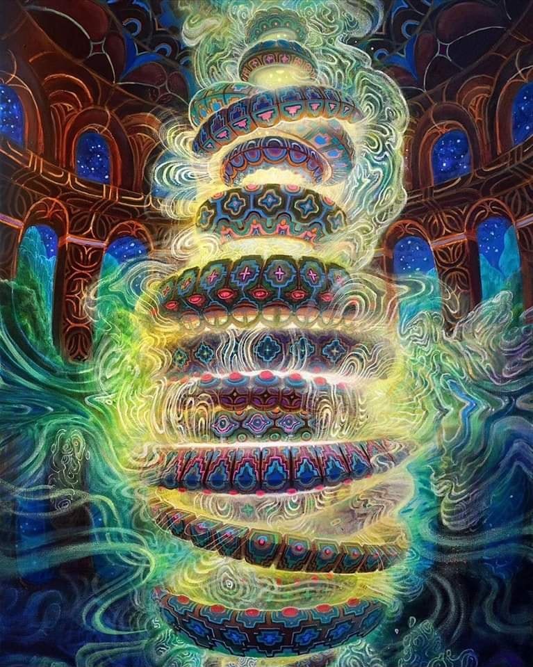 398566252_903884104642851_492683094931073309_n.jpg