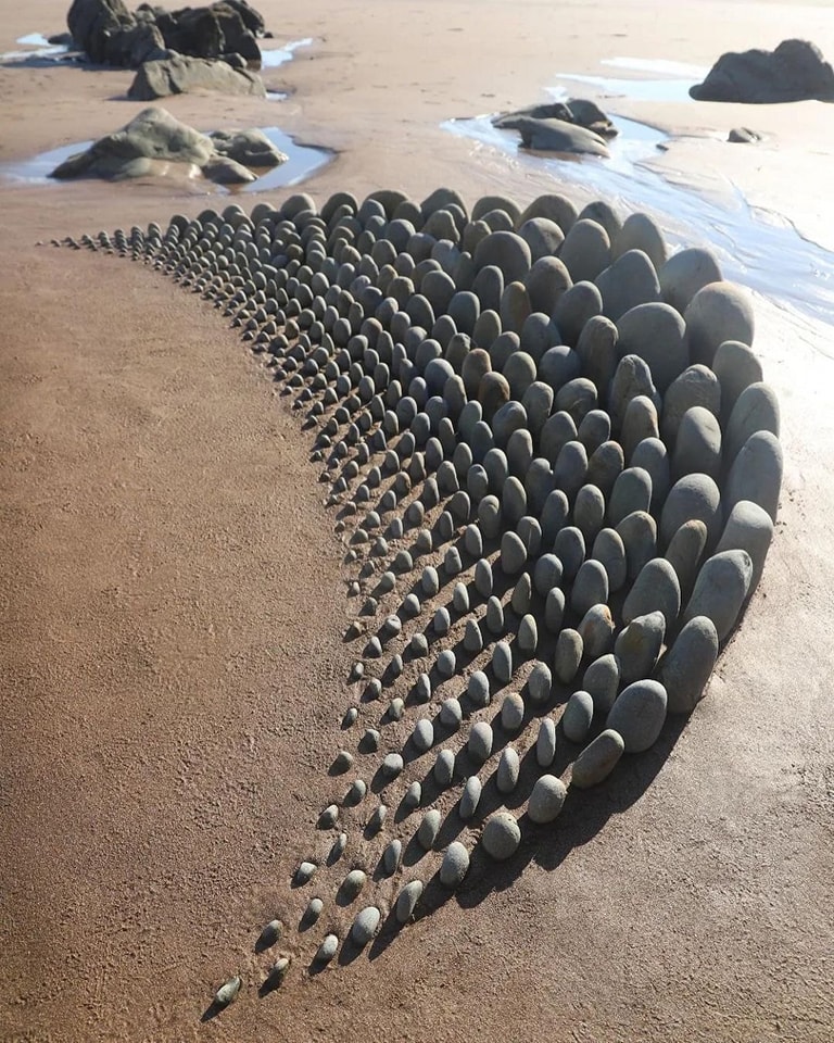 403746867_914768933554368_4607698450771811734_n.jpg