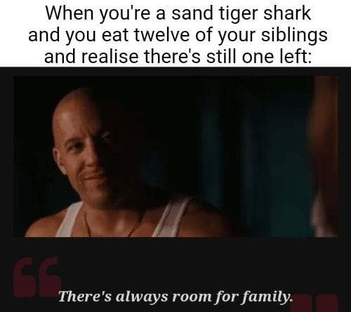 407373525_10168102980935534_8358108277833363254_n.jpg