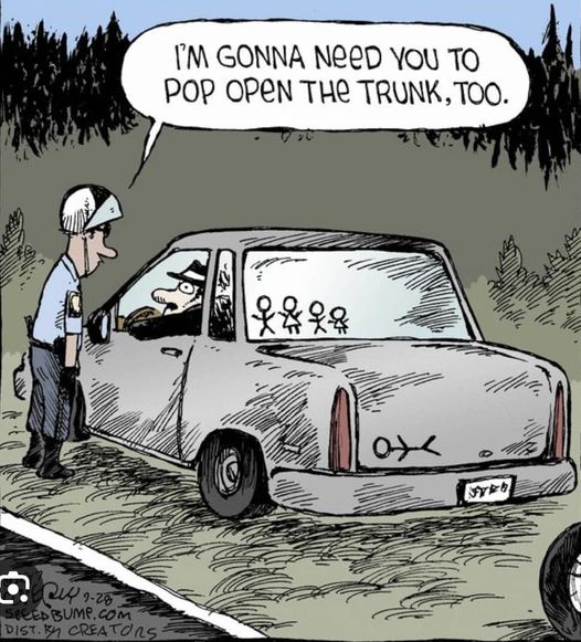 427931502_417227357491423_2721796108073166005_n.jpg