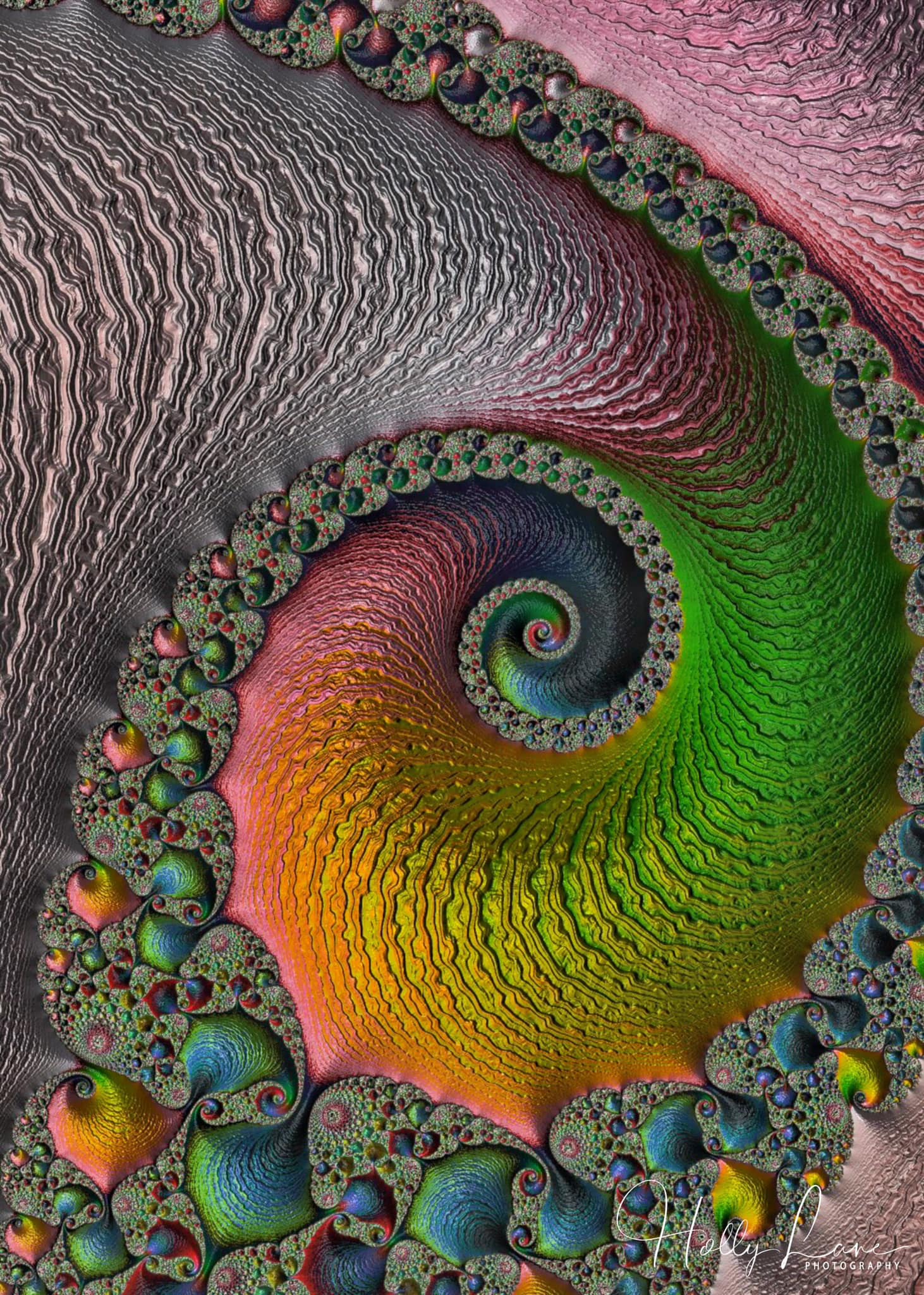428713058_10228487275521176_7652874725738366980_n.jpg
