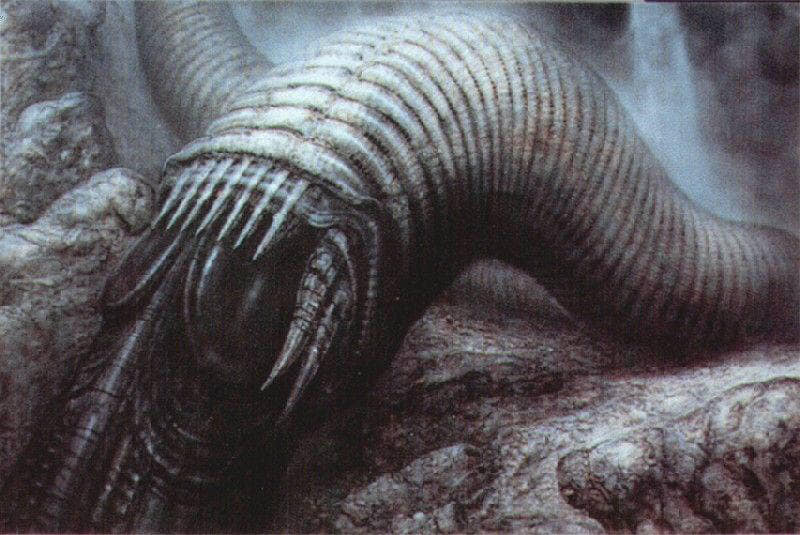 434481608_10225249800929155_5417734998831525894_n.jpg