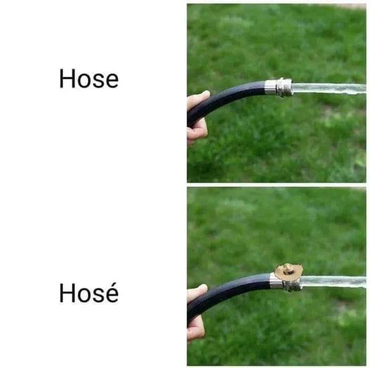 435976392_844143024408666_5702976902636167947_n.jpg