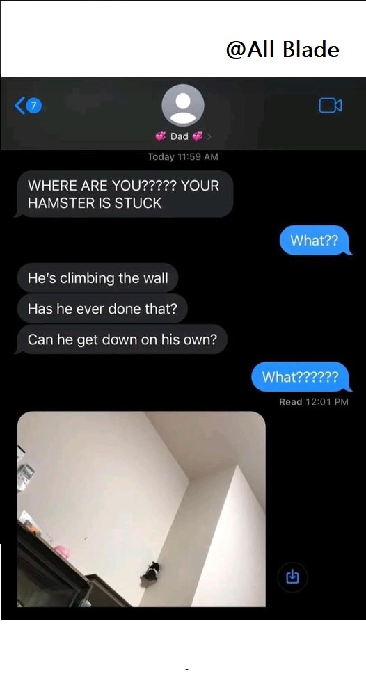 455140753_472958942197495_7103103878749609998_n.jpg