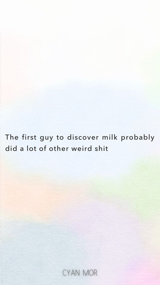 455721148_478364271695950_8187420179605888797_n.jpg