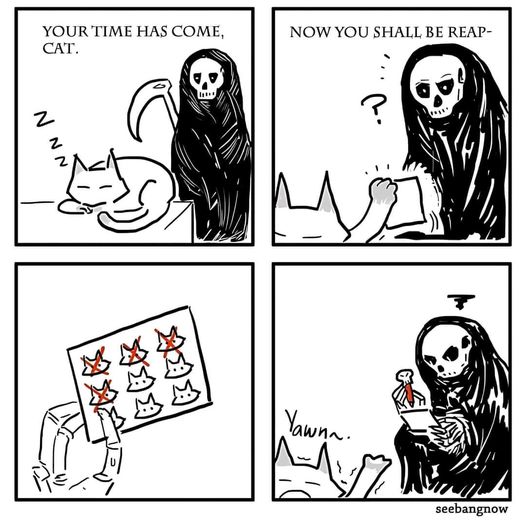 456046516_823956843191967_3507574983691225280_n.jpg