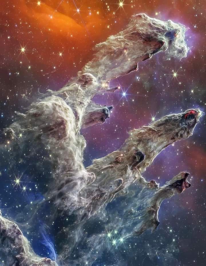 457094576_122176191974205892_8998349100641051354_n.jpg