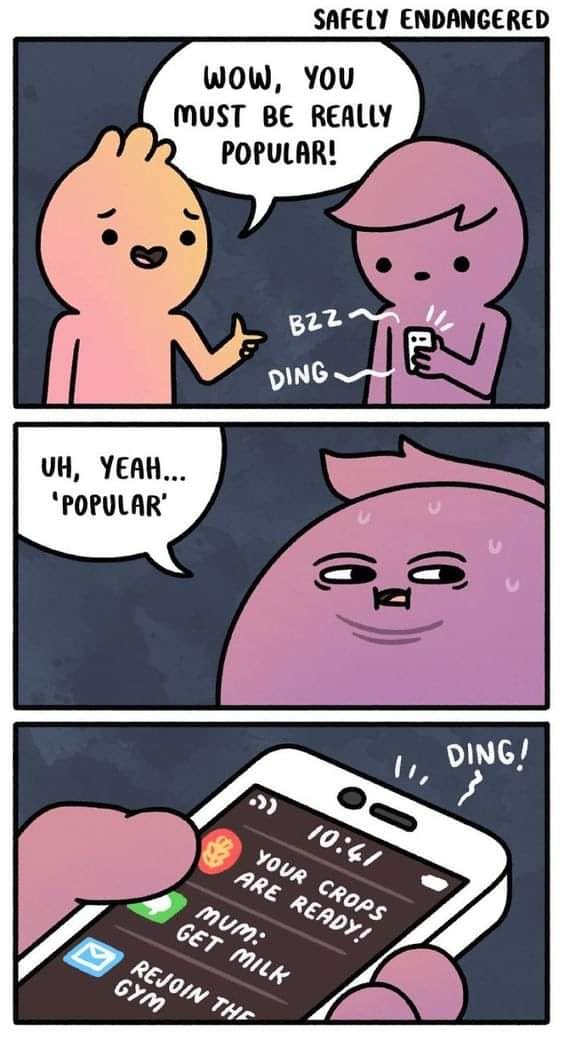 459699666_842669737987344_8812345234680585739_n.jpg