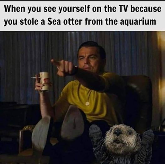 462780048_1053516309772881_6265179014993869993_n.jpg