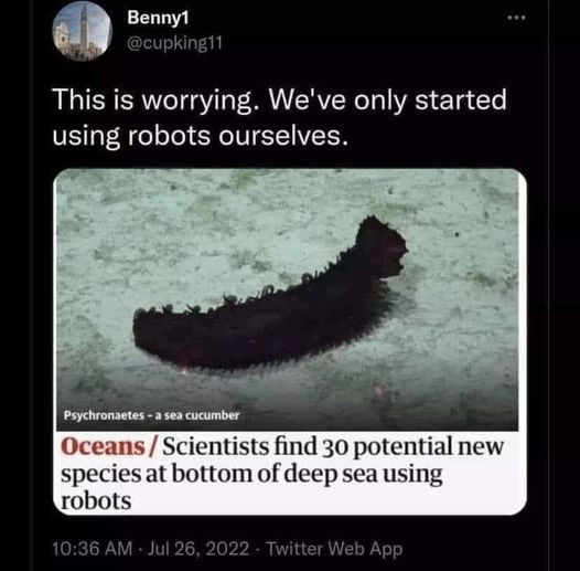 463965091_1119087442914257_8061428621549399115_n.jpg