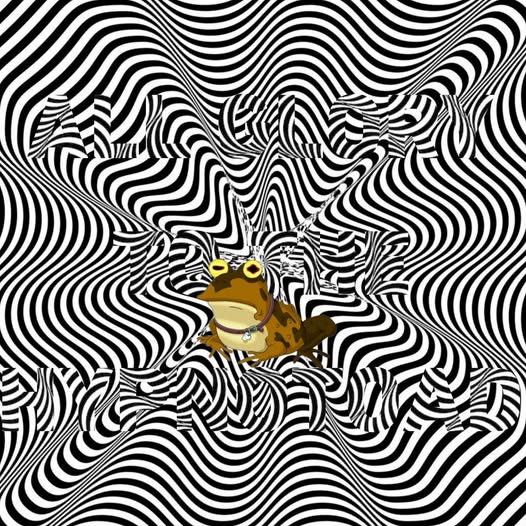 469095940_2045550669201869_5105373987846121060_n.jpg