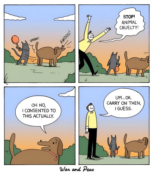 470775438_122167269914266925_9211612369711926244_n.jpg