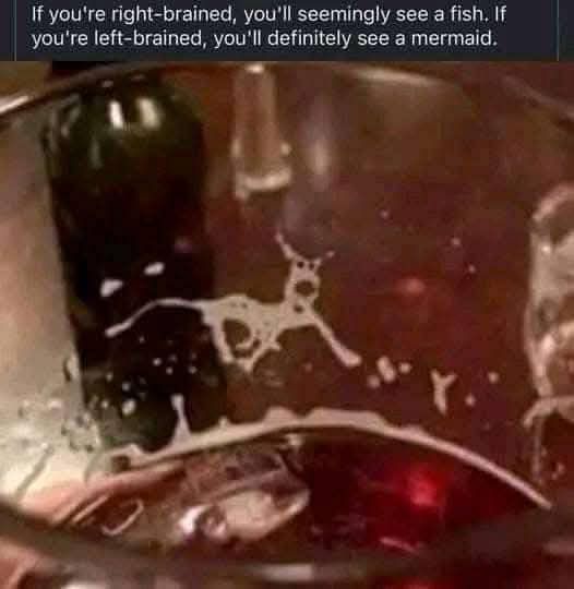471694549_9173089102711665_5747622438409259517_n.jpg
