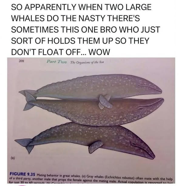 480941853_1068109105361403_1811770394629499536_n.jpg