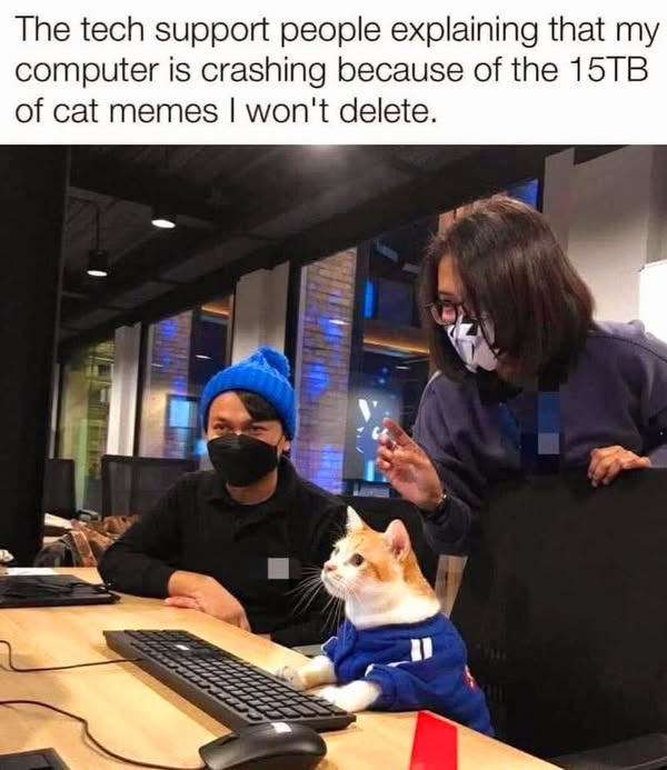 489914338_1201713454819400_8694150546617405950_n.jpg