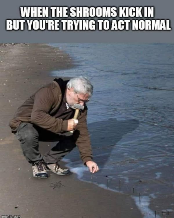 490322149_1089585123213801_3741346910811027001_n.jpg
