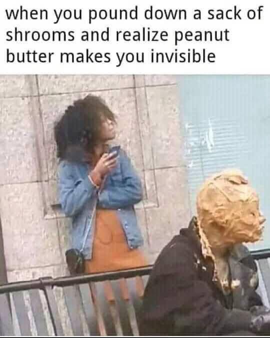 494380453_122228935484219058_3889196601444580915_n.jpg