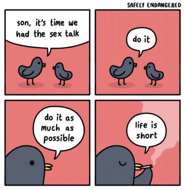 494445851_1855103538623171_1049552594534611764_n.jpg