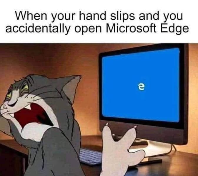 494637497_1363328068333922_8173697587234007147_n.jpg