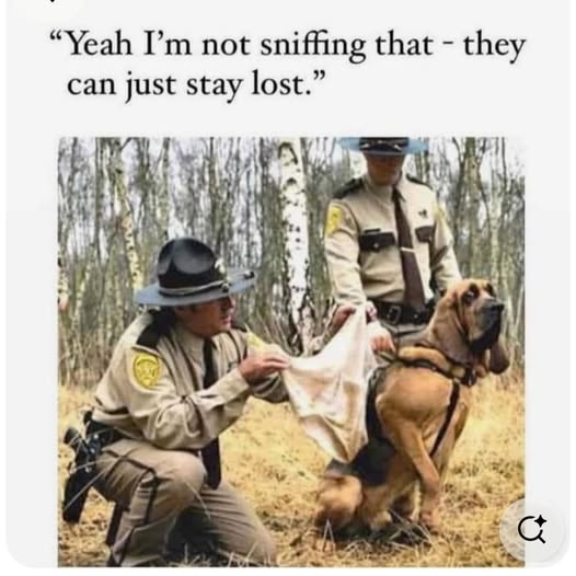 557035323_1123964419916401_4783354232211161553_n.jpg