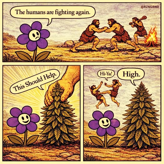 697792752_1437320438437614_6466210400353646008_n.jpg