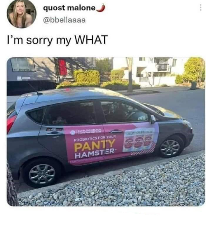 87134916.jpg