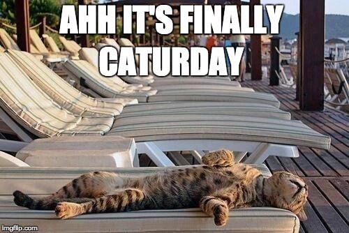 a-meme-of-a-cat-laying-down-happy-its-caturday.jpg