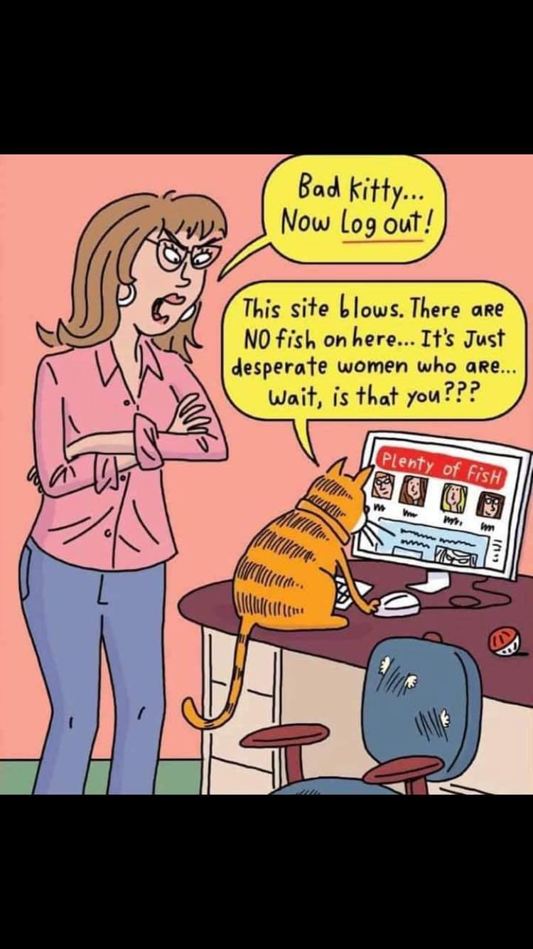 badkitty.jpg