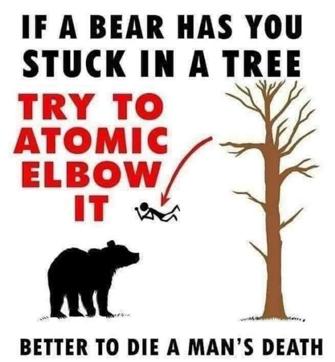 bearatomicelbow.jpg