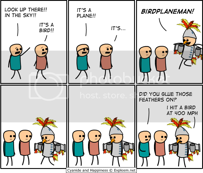 birdplane.png