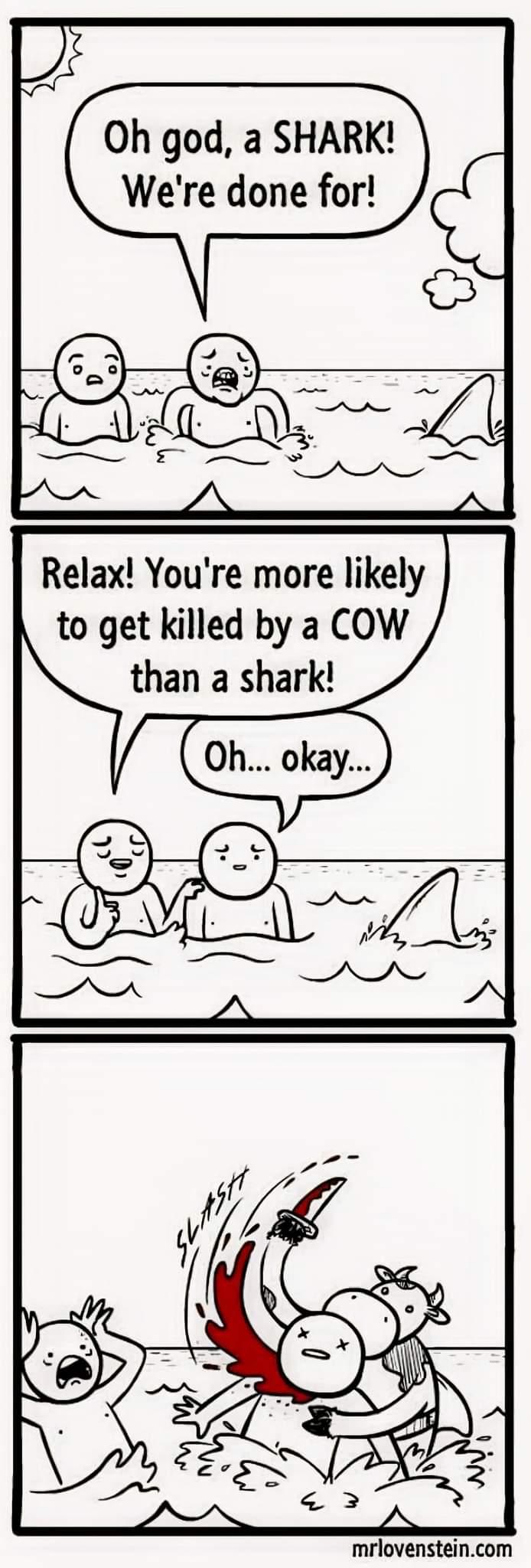 cow.jpg