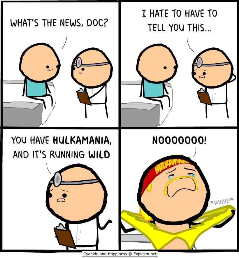 hulkamania.jpg