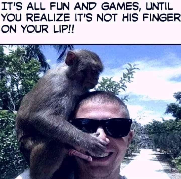 monkeydick.jpg
