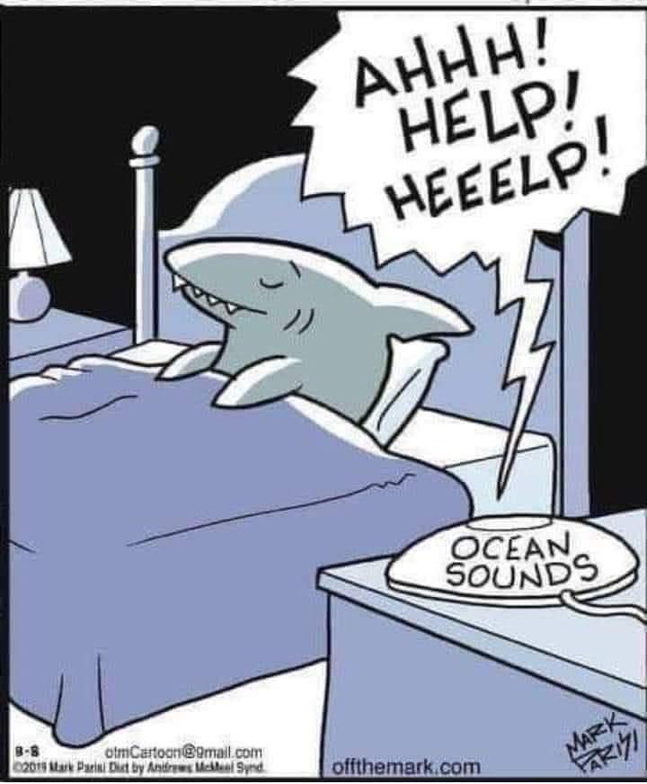 sharksounds.jpg