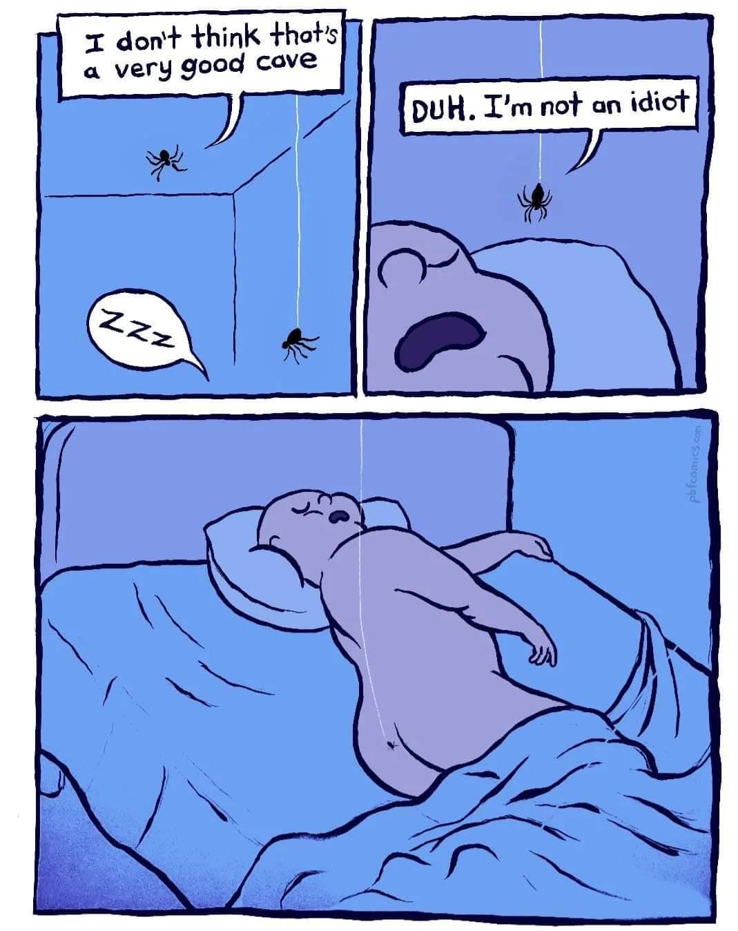 spidercave.jpg