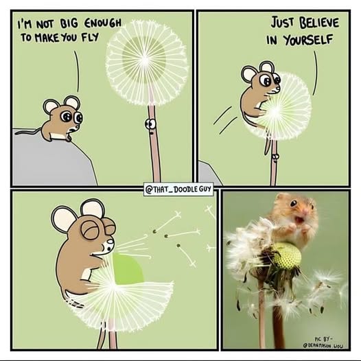 supercute.jpg